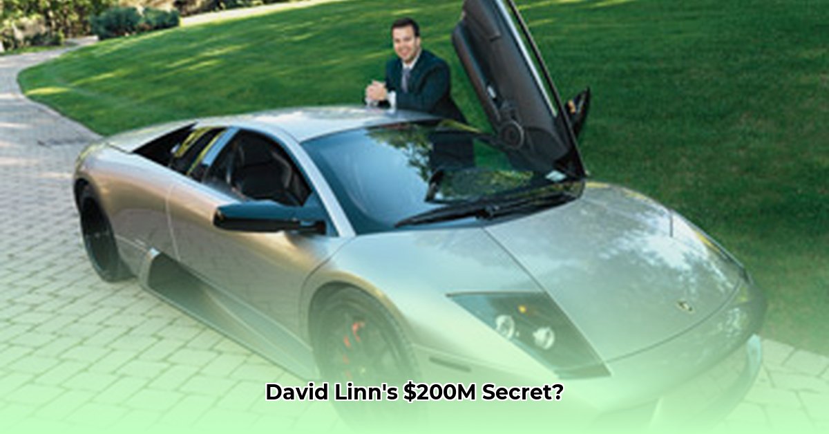 david-linn-net-worth